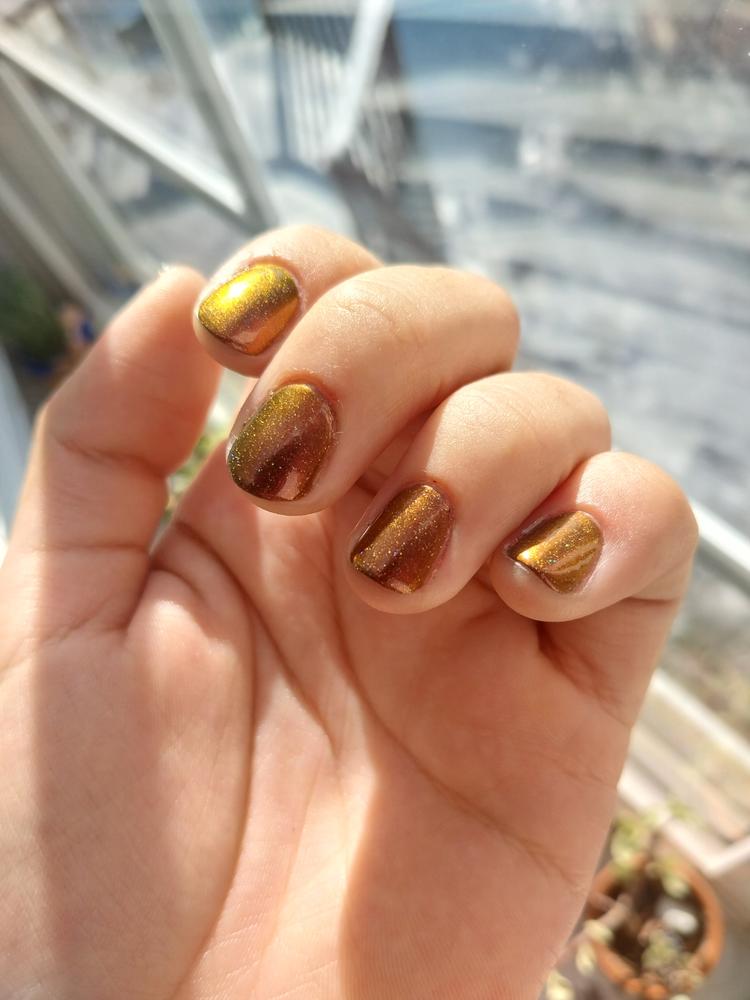 Tax Haven - Customer Photo From Mari 