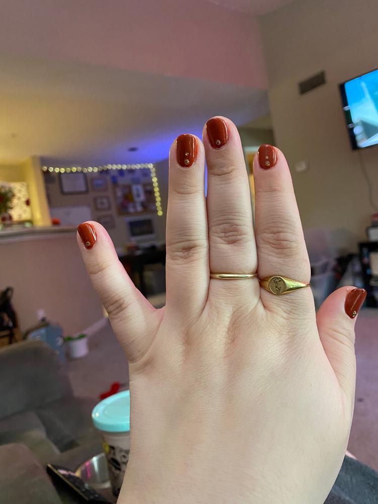 Brick Wall - Customer Photo From Emily